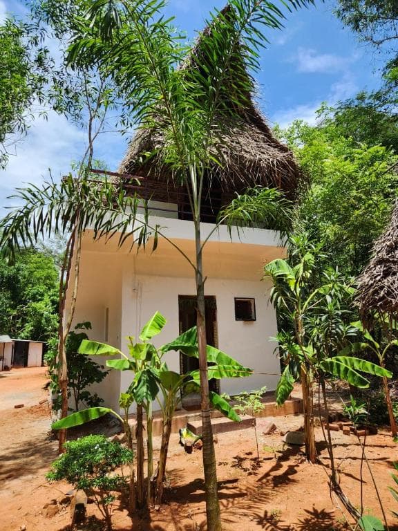 AC Dorm — exterior with banana plants out front