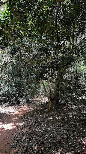 Path between the huts