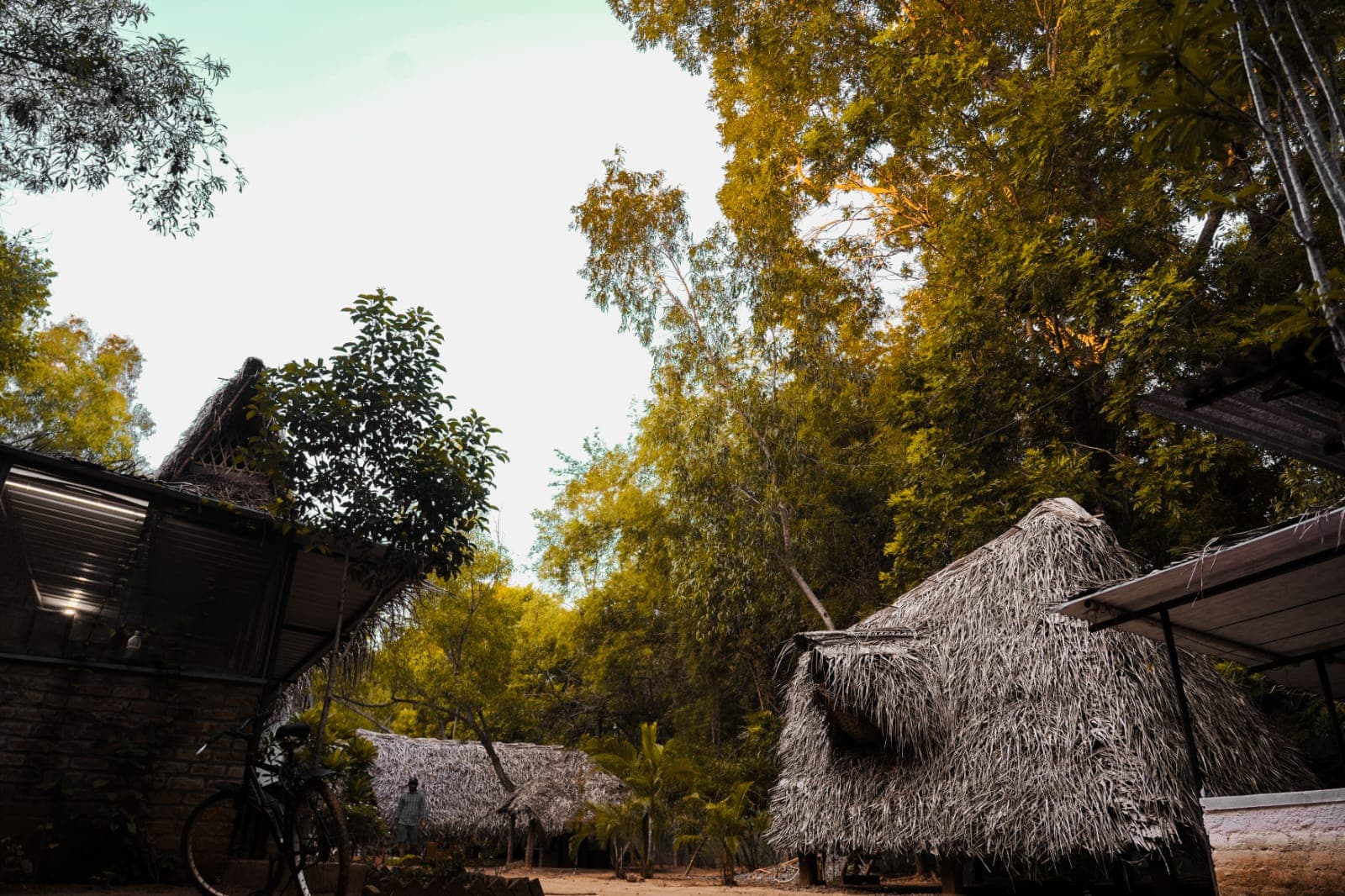 Nebula Nest — wooden huts under the Auroville canopy at dusk