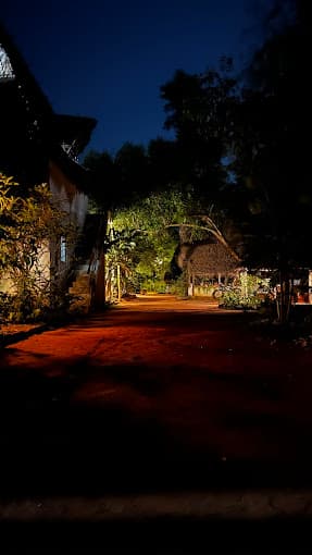 Garden lights at night